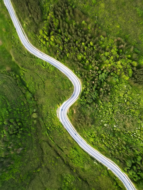 Luftdrohnen-Vertikalansicht der Natur in Moldawien Straße, die durch einen üppigen grünen Wald führt