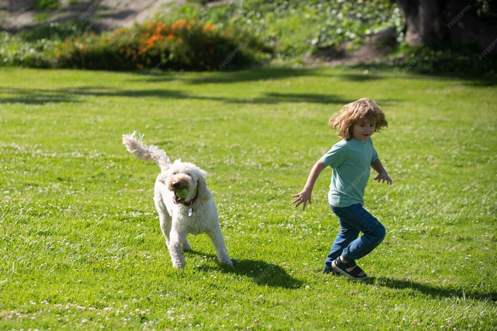 Lustiges kind läuft mit hund glücklicher junge, der mit