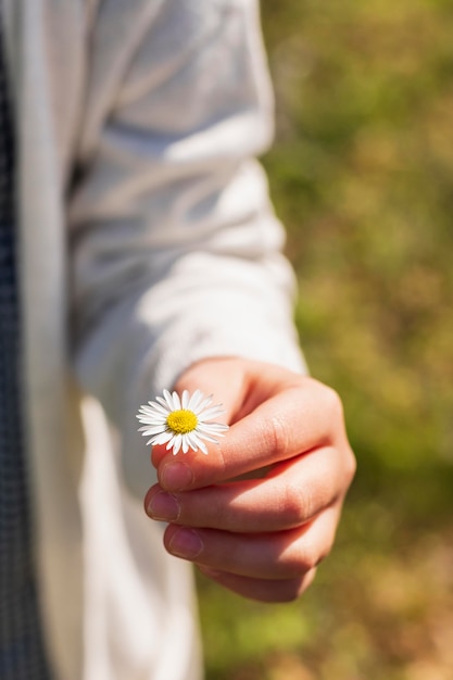 Mädchen, das weiße Gänseblümchenblume nah oben hält