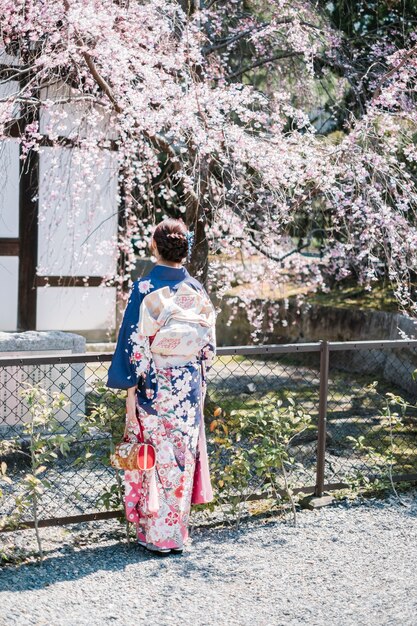 Mädchen Frauen im Kimono und Sakura-Baum