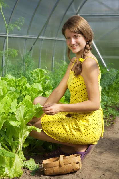 Mädchen pflücken Salat