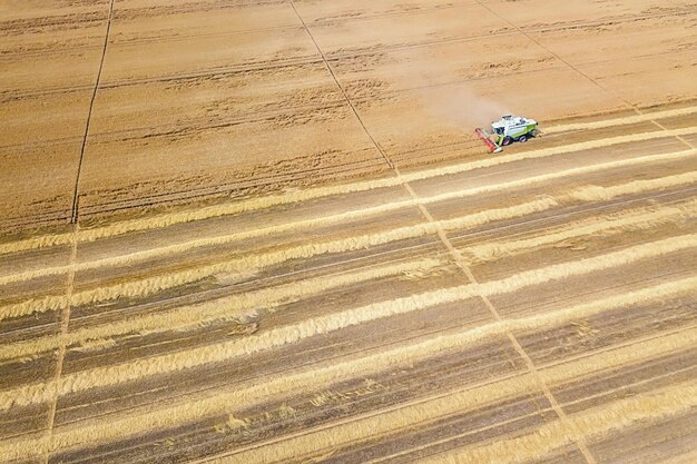 Mähdrescher, der auf einem Weizenfeld arbeitet. Mähdrescher Luftaufnahme.