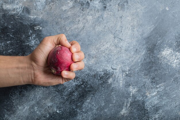 Männliche Hand, die einzelne rote Zwiebel auf Marmorhintergrund hält