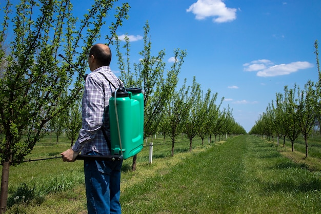 Männlicher Agronom, der Apfelbäume mit Pestiziden im Obstgarten behandelt