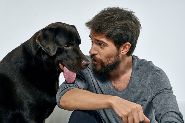 Bilder Maennlicher Hund Gratis Vektoren Fotos Und Psds