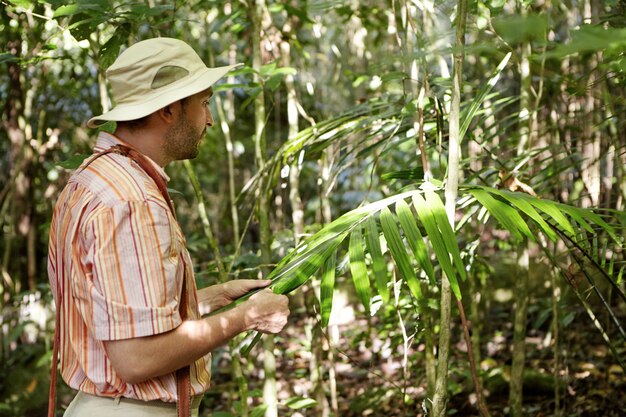 Männlicher Botaniker im gestreiften Hemd, der vor grüner exotischer Pflanze steht, seine großen Blätter hält und sie auf Krankheiten untersucht, während Umweltbedingungen und Probleme im tropischen Wald erforscht werden