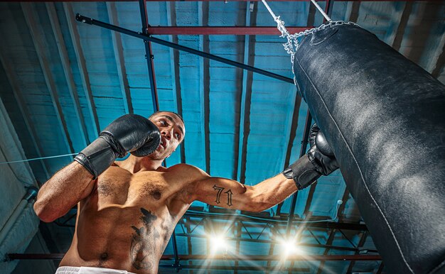 Männlicher Boxer, der übt