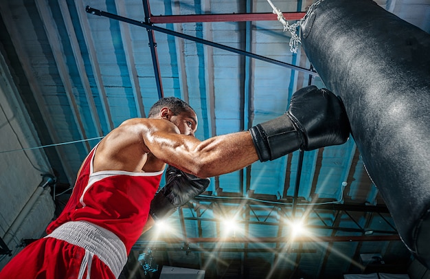 Kostenloses Foto männlicher boxer, der übt