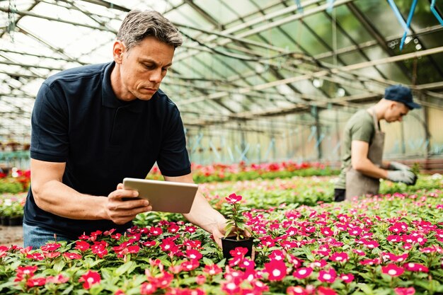 Männlicher Florist, der ein digitales Tablet verwendet, während er sich um Blumen in der Gärtnerei kümmert