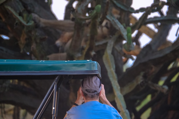 Männliches sprechendes Bild von Baum und Kakteen