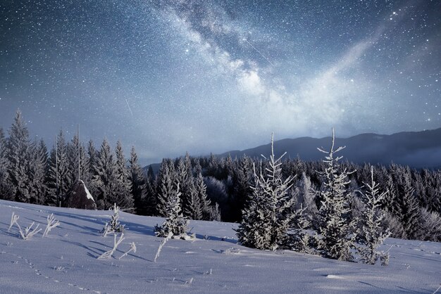 magischer Winter schneebedeckter Baum. Winterlandschaft. Lebendiger Nachthimmel mit Sternen und Nebel und Galaxie. Deep Sky Astrophoto