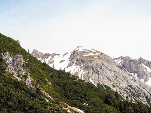 Majestätische Alpen im Winter mit grünen Bäumen und schneebedeckten Gipfeln