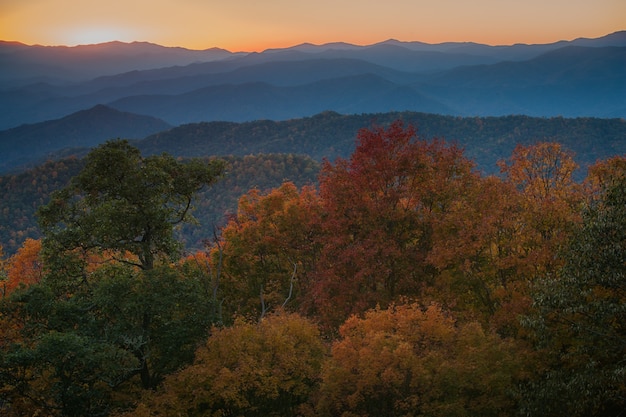 Majestätische Aufnahme einer dicht bewaldeten Bergkette im Great Smoky Mountains National Park