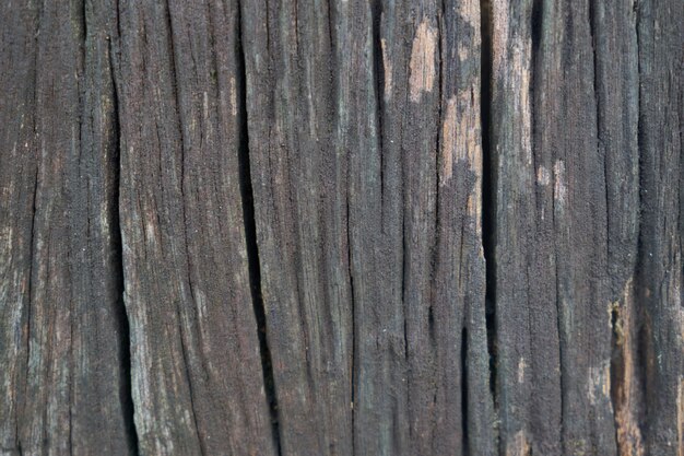 Makro roh Plank aus Holz Holz