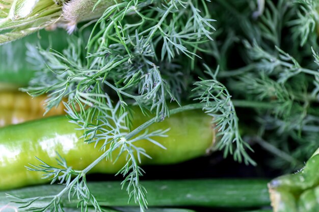 Makroaufnahme frischer Dill unter anderem Gemüse