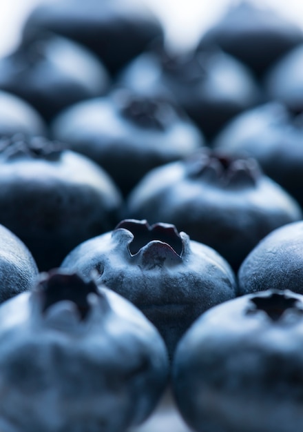 Kostenloses Foto makroschuß des blaubeerhintergrundes