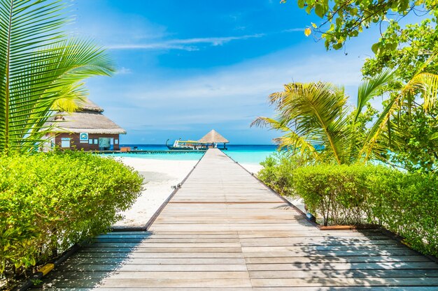 maldives Haus exotische Reise Meer