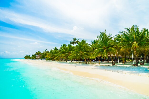 Malediven-Insel