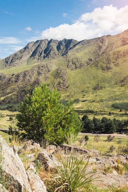 Malerische Aussicht auf grüne Berge