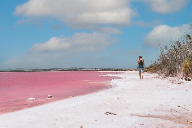 Mann, der am Strand in der Nähe des rosafarbenen Meeres spazieren geht