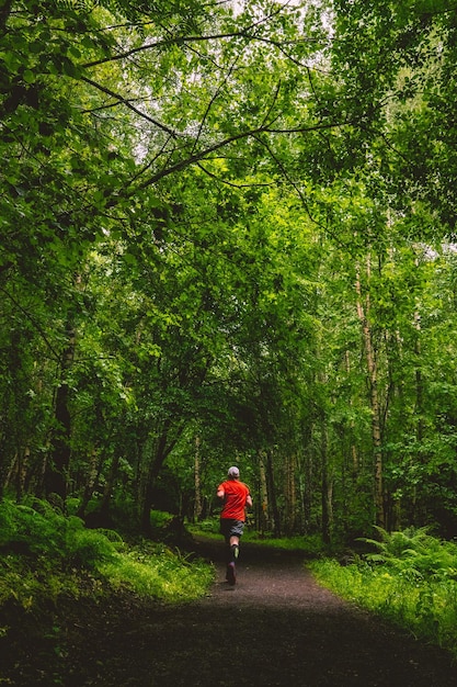 Mann, der in einer Gasse im grünen, frischen Wald läuft