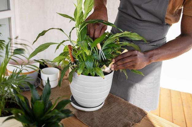 Mann, der Indoor-Landwirtschaft genießt