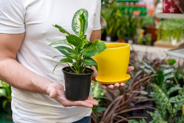 Mann, der Pflanze und Blumentopf hält