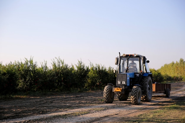 Mann, der Traktor durch Feld fährt