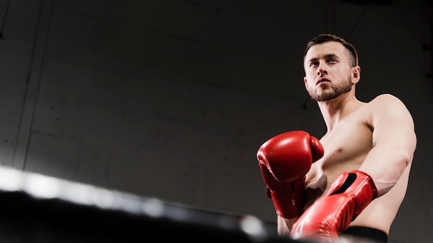 Mann des niedrigen Winkels, der ausbildet, um ein Boxer mit Kopienraum zu sein