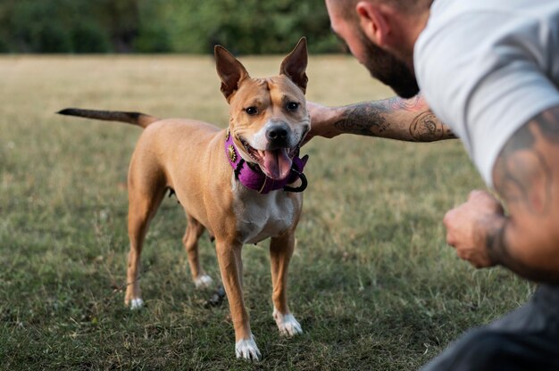 Mann genießt eine schöne Zeit mit seinem Hund