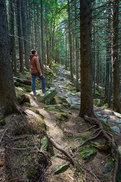 Mann mit Wanderausrüstung, der im Wald spaziert