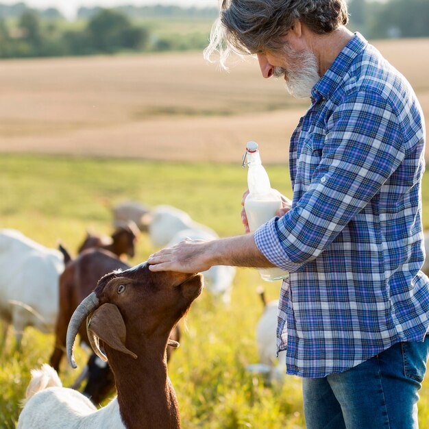 Mann neben Ziegen mit Flasche Milch