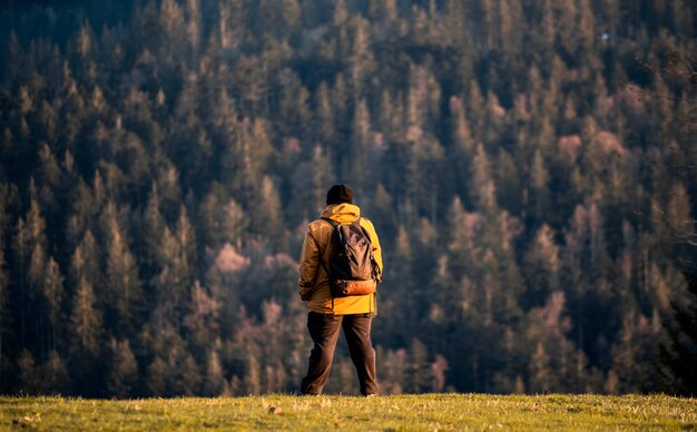 Mann schaut auf den Wald mitten im Berg