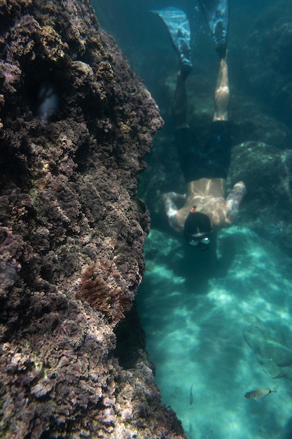 Kostenloses Foto mann schwimmt unter dem ozean