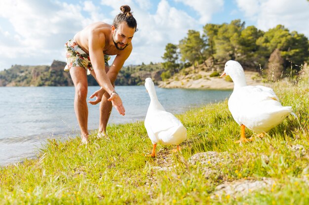 Mann spielt mit Gänsen am Ufer