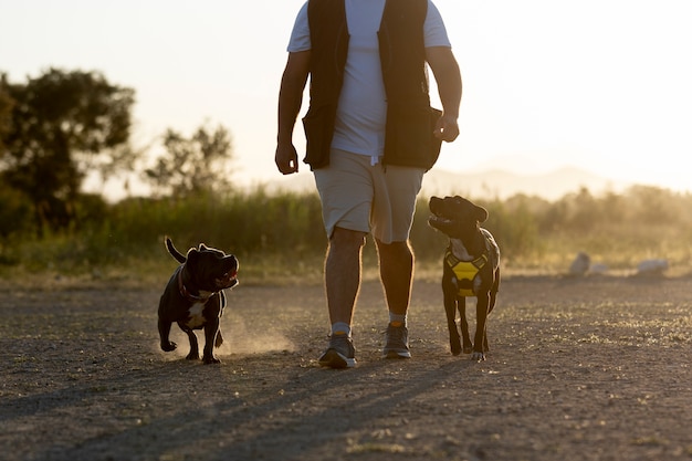 Mann trainiert zwei Hunde im Freien bei Sonnenuntergang