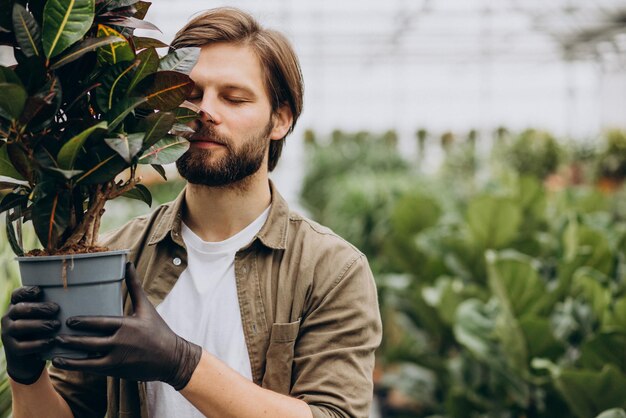 Mannflorist, der im Gewächshaus arbeitet