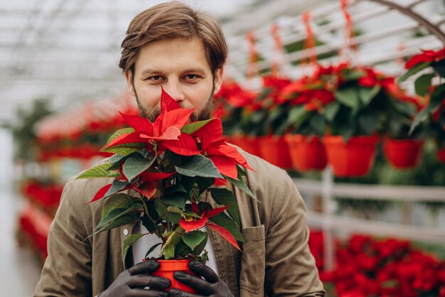 Mannflorist, der im Gewächshaus arbeitet