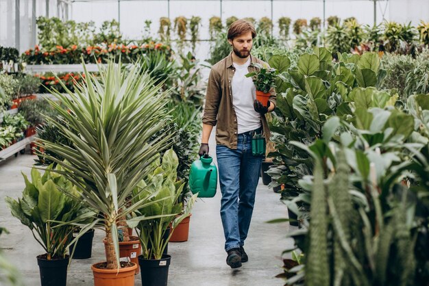 Mannflorist, der im Gewächshaus arbeitet