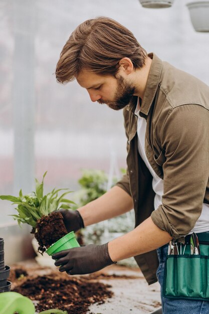 Mannflorist, der im Gewächshaus arbeitet