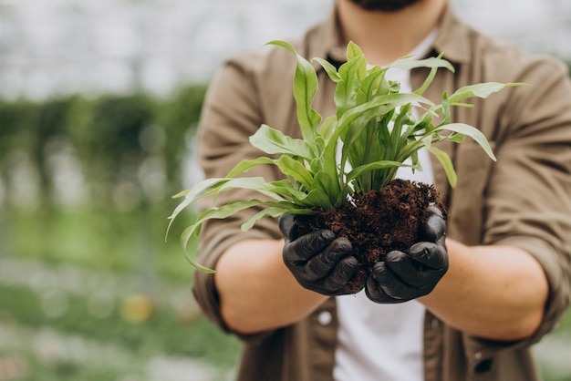 Kostenloses Foto mannflorist, der im gewächshaus arbeitet