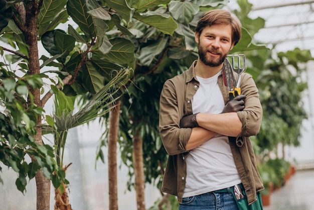 Mannflorist, der im Gewächshaus arbeitet