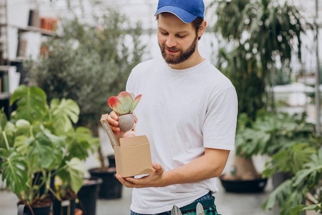 Mannflorist, der im Gewächshaus arbeitet