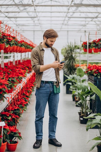 Mannflorist, der im Gewächshaus arbeitet