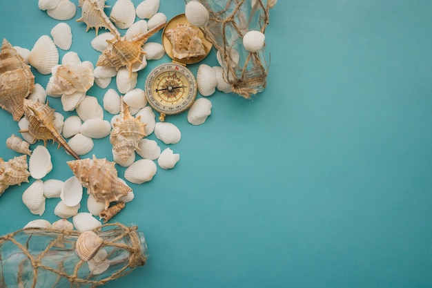 Marine Elemente und Seashells