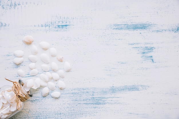 Marine Zusammensetzung mit Muscheln und Exemplar