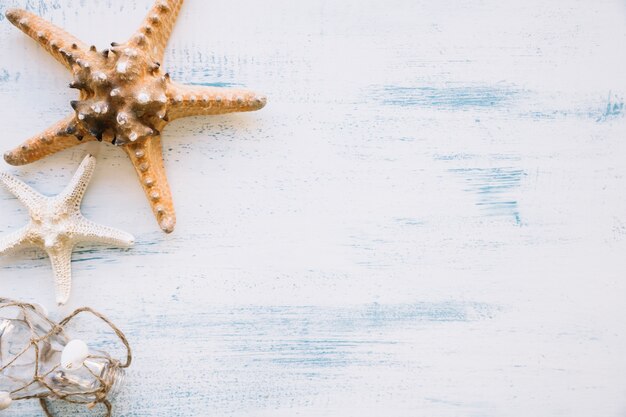 Marinezusammensetzung mit Starfish und copyspace