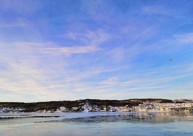 Kostenloses Foto meer umgeben von gebäuden und grün unter dem sonnenlicht in larvik in norwegen