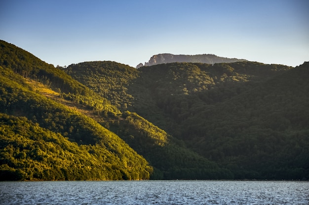 Kostenloses Foto meer umgeben von hügeln bedeckt mit wäldern unter dem sonnenlicht und einem blauen himmel