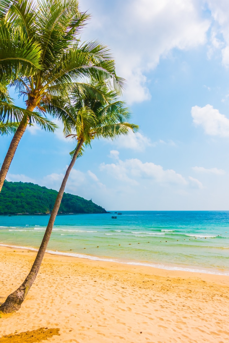 Kostenlose Foto meer und strand